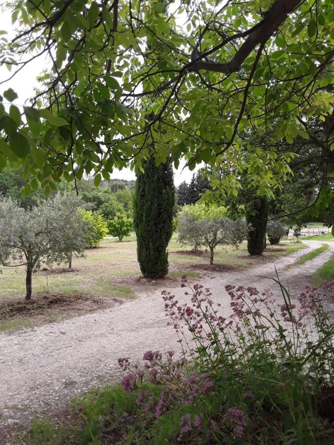 Le Paradis Vaugines Екстериор снимка