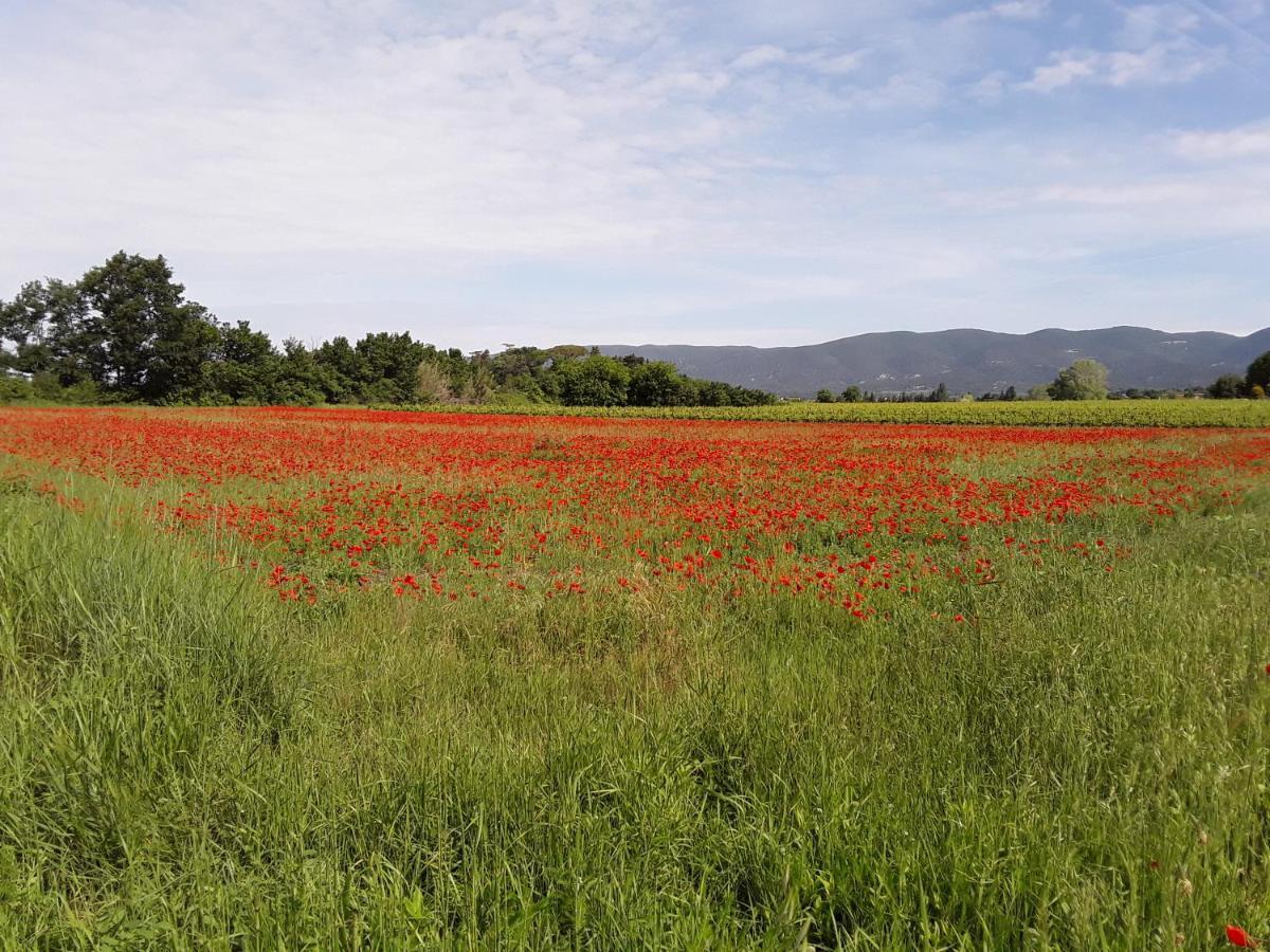 Le Paradis Vaugines Екстериор снимка